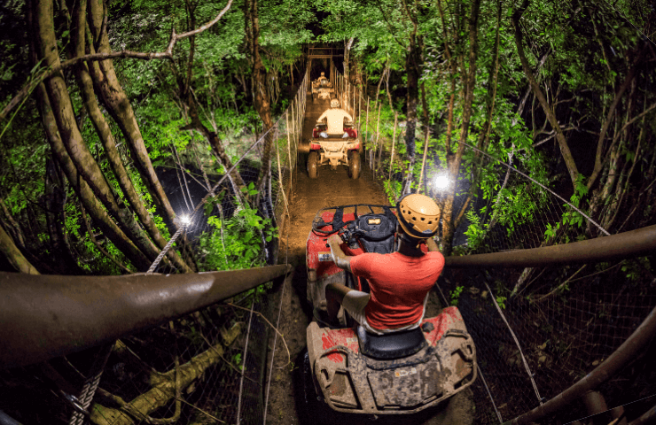 Emotions Jungle Night